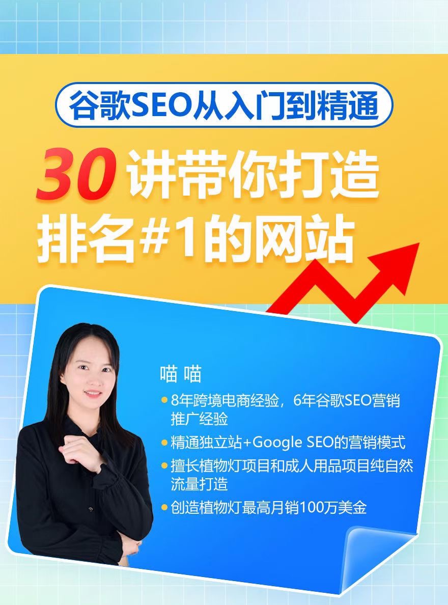 谷歌SEO从入门到精通，30讲带你打造排名#1的网站插图